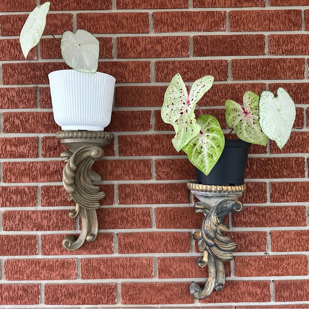 Decorative Wall Shelves